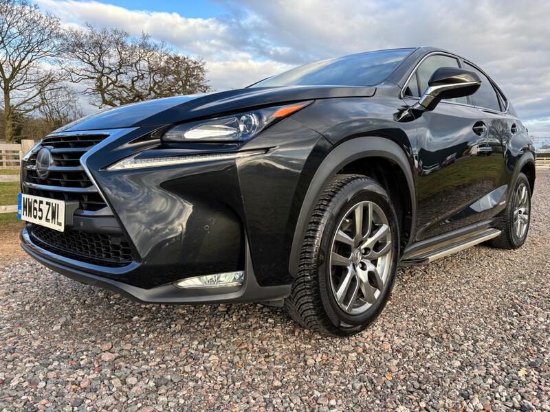 LEXUS NX